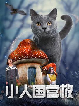 在线播放 中文字幕 一区